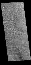 This image from NASA's Mars Odyssey shows an area at the equator near Gordii Dorsum.