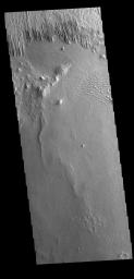 This image from NASA's Mars Odyssey shows yardangs. These features are created by long term winds scouring a poor cemented surface material into linear ridges and valleys.