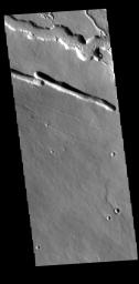 This image from NASA's Mars Odyssey shows an area west of Elysium Mons in the region called Elysium Fossae.