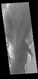 This image from NASA's Mars Odyssey shows a section of Shalbatana Vallis. Along side of the major channel is a smaller tributary channel.
