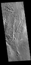 This image from NASA's Mars Odyssey shows a region of Melas Chasma covered by several very large landslide deposits.