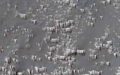This image, acquired on August 11, 2019 by NASA's Mars Reconnaissance Orbiter, shows wind-blown deposits known as transverse aeolian ridges (TARs). They are frequently visible in images of the Martian tropics.