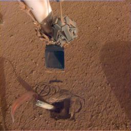 InSight recently moved its robotic arm closer to its digging device, called the mole, in preparation to push on its top, or back cap.