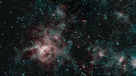 This image from NASA's Spitzer Space Telescope shows the Tarantula Nebula in two wavelengths of infrared light, each represented by a different color.
