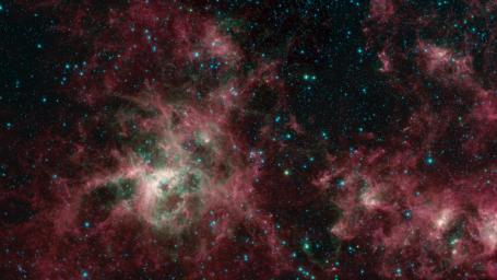 This image from NASA's Spitzer Space Telescope shows the Tarantula Nebula in infrared light.