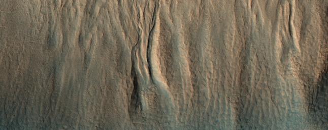This image, acquired on December 13, 2019 by NASA's Mars Reconnaissance Orbiter, shows a cluster of gullies that appear modified or degraded.