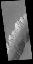 This image from NASA's Mars Odyssey shows a small section of Shalbatana Vallis.