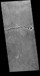 This image from NASA's Mars Odyssey shows a section of Patapsco Vallis, a channel located east of Elysium Mons.