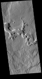 This image from NASA's Mars Odyssey shows a portion of an unnamed channel in northern Arabia Terra.