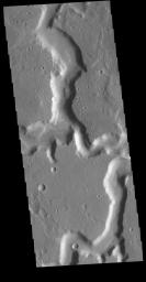 This image from NASA's Mars Odyssey shows the confluence of the two main channels of Nanedi Valles.