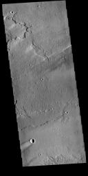 This image from NASA's Mars Odyssey shows a windstreak on lava plains southwest of Arsia Mons.