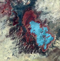 NASA's Terra spacecraft shows Lake Fitri, located in the center of Chad. It is fed by seasonal rainfall, so its area can triple in wet years. In extreme drought years, the lake may dry out completely.