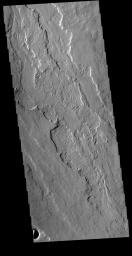 This image from NASA's Mars Odyssey shows a very small portion of the extensive lava flows of the Tharsis volcanic complex.