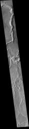 This image from NASA's Mars Odyssey shows the extensive channel system that includes parts of both Sabis Vallis and Minio Vallis.