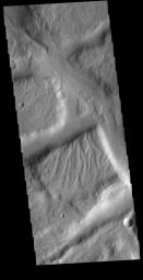 This image from NASA's Mars Odyssey shows a complex region of features in northern Terra Sirenum.