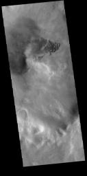 This image from NASA's Mars Odyssey shows small dunes located in an unnamed crater in southern Noachis Terra.