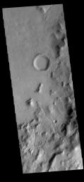 This image from NASA's Mars Odyssey shows multiple channels dissecting the inner rim of this unnamed crater in Terra Cimmeria.
