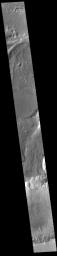 This image from NASA's Mars Odyssey shows a small section of Osuga Valles. Osuga Valles is a complex set of channels located near Eos Chasma.