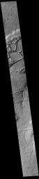 This image from NASA's Mars Odyssey shows several linear depressions called graben. Graben are formed due to extensional tectonic stresses, creating linear faults that allow subsidence of blocks of material between paired faults.