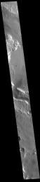 This image from NASA's Mars Odyssey shows a wide channel called Tinto Vallis. This northward flowing channel is 180 km (112 miles) long and is located in northern Hesperia Planum.