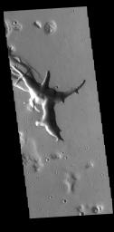 This image from NASA's Mars Odyssey shows the complex region at the start of the Hebrus Valles channel system.