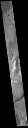 This image from NASA's Mars Odyssey shows an unnamed channel located on the northern boundary of Terra Sirenum near Lucus Planum.