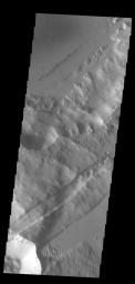 This image from NASA's Mars Odyssey shows linear depressions, part of Sirenum Fossae.