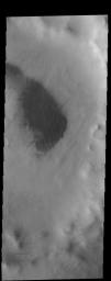 This image from NASA's Mars Odyssey shows a field on dunes on the floor of an unnamed crater in southern Terra Sirenum.