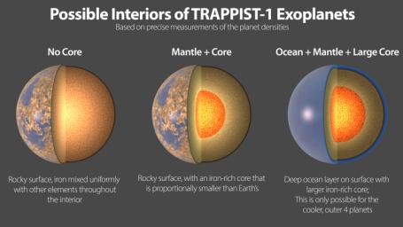 Three possible interiors of the TRAPPIST-1 exoplanets. All seven planets have very similar densities, so they likely have a similar compositions.