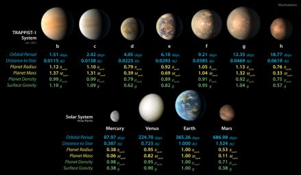 Detailed measurements of the physical properties of the seven rocky TRAPPIST-1 planets and the four terrestrial planets in our solar system help scientists find similarities and differences between the two planet families.