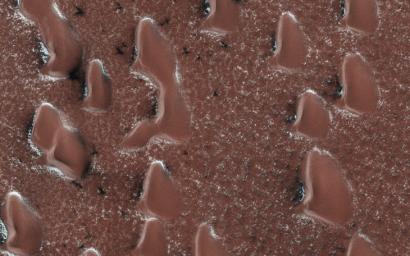 This image acquired on December 24, 2020 by NASA's Mars Reconnaissance Orbiter, shows the seasonal polar cap beginning to sublimate (going from ice directly to gas). A layer of dry ice covers the sand dunes in this image.
