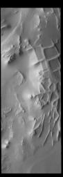 This image from NASA's Mars Odyssey shows Angustus Labyrinthus. The squares formed by intersecting ridges earned the feature the informal name of the Inca City when it was discovered in Mariner 9 images in 1972.