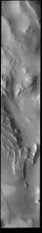 This image from NASA's Mars Odyssey shows part of Angustus Labyrinthus. Angustus Labyrinthus is a unique region near the south polar cap.