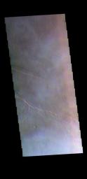 This image from NASA's Mars Odyssey shows part of the extensive Tharsis volcanic fields. The pale wispy spots are clouds. This image was collected just after dawn during the spring season.