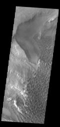 This image from NASA's Mars Odyssey shows a large sand sheet with surface dune forms located on the complex floor of Rabe Crater.