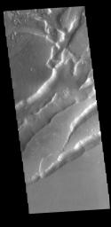 This image from NASA's Mars Odyssey shows parallel sets of depressions. These are tectonic graben formed when a block of material is down dropped between paired faults.