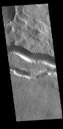 This image from NASA's Mars Odyssey shows two segments of the channel system called Granicus Valles.
