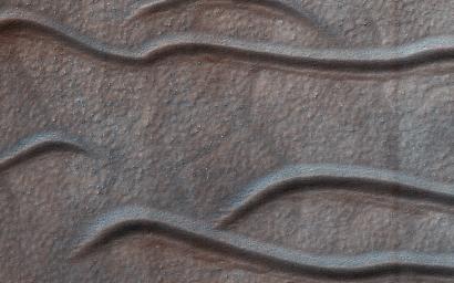 This image acquired on December 17, 2018 by NASA's Mars Reconnaissance Orbiter, shows dune-like sandy landforms (or bedforms) self-organizing into distinct shapes and patterns as dictated by wind conditions and other factors.