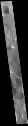 This image from NASA's Mars Odyssey shows an unnamed channel in Libya Montes.
