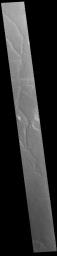 This image from NASA's Mars Odyssey shows several unnamed channels located in Margaritifer Terra.
