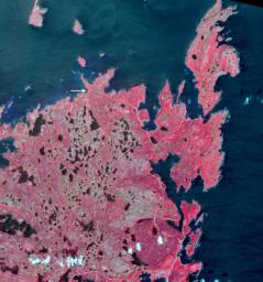 NASA's Terra spacecraft shows, L'Anse aux Meadows in northern Newfoundland.