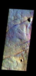 This image from NASA's Mars Odyssey shows some of the graben that comprise Sirenum Fossae.