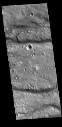 This image from NASA's Mars Odyssey shows linear channels, part of Vedra Valles.