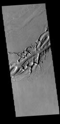 This image from NASA's Mars Odyssey shows Olympica Fossae, a complex channel located on the volcanic plains between Alba Mons and Olympus Mons.