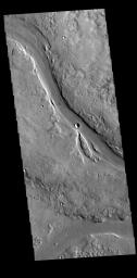 This image from NASA's Mars Odyssey shows two of the channel segments of Granicus Valles. Granicus Valles is a complex channel system located west of Elysium Mons.