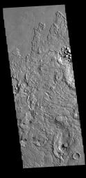 This image from NASA's Mars Odyssey shows Avernus Colles, on the margin with Elysium Planitia.