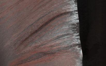 This image acquired on November 27, 2021 by NASA's Mars Reconnaissance Orbiter, shows sand dunes in Kaiser Crater partially covered with seasonal carbon dioxide ice (dry ice).