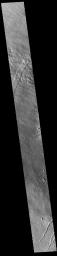 This image from NASA's Mars Odyssey shows part of the northwestern flank of Pavonis Mons.