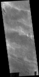 This image from NASA's Mars Odyssey shows high altitude winter clouds over Melas Chasma.