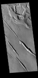 This image from NASA's Mars Odyssey shows linear depressions, part of Galaxias Fossae.